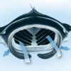 To design better water filters, MIT engineers look to manta rays ...