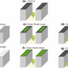 Trees found to cool better than reflective roofs in vulnerable ...