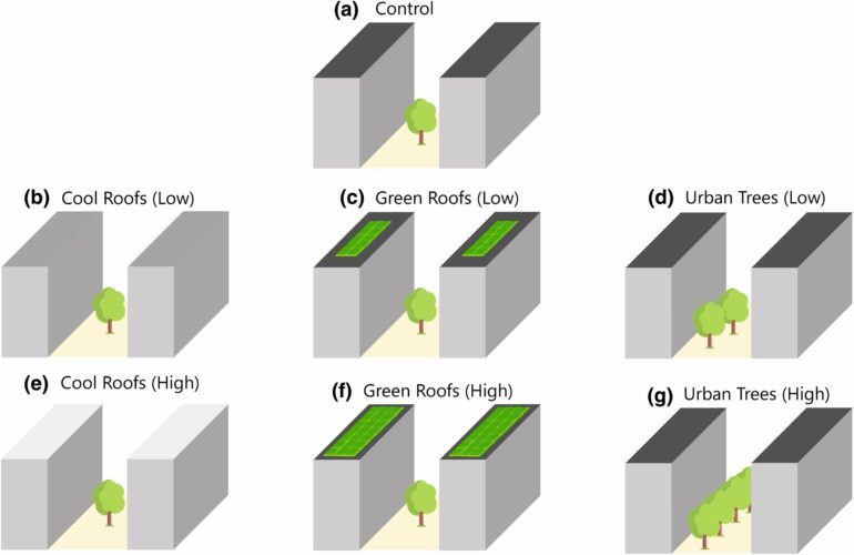 Trees found to cool better than reflective roofs in vulnerable ...