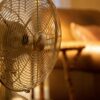 Using a fan and wetting the skin reduces risk of deadly cardiac ...