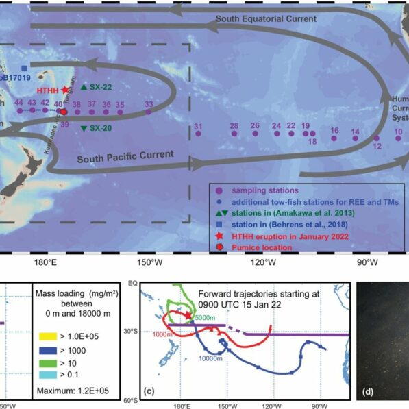 Volcanic ash as a source of nutrients: How the Hunga Tonga ...