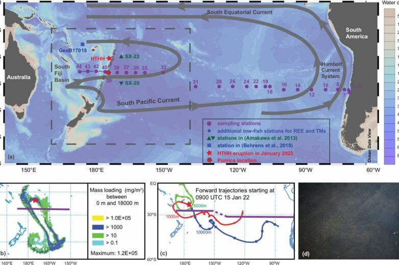 Volcanic ash as a source of nutrients: How the Hunga Tonga ...