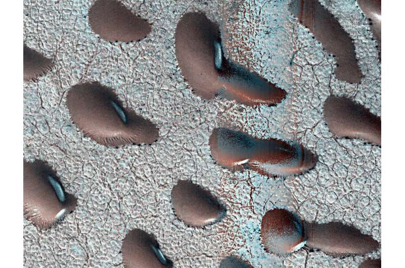 Avalanches, Icy Explosions, and Dunes: NASA Is Tracking New Year on Mars - NASA