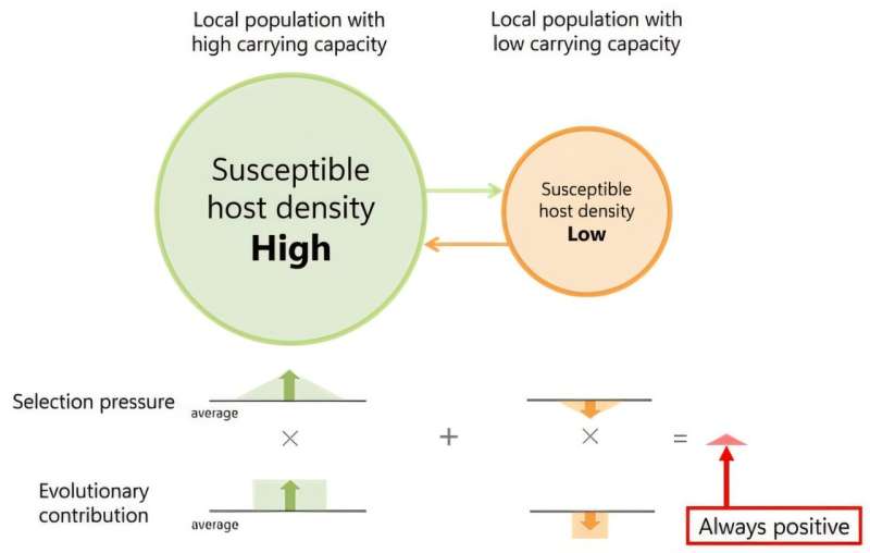 Heterogeneity in host populations drives the evolution of more virulent pathogens