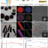 Giving animal strength to medical robotics: 3D printing method ...