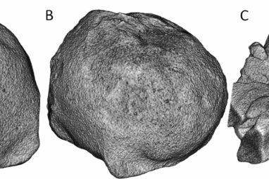 3D scans of giant hailstones reveal surprising discoveries that ...