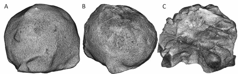 3D scans of giant hailstones reveal surprising discoveries that ...