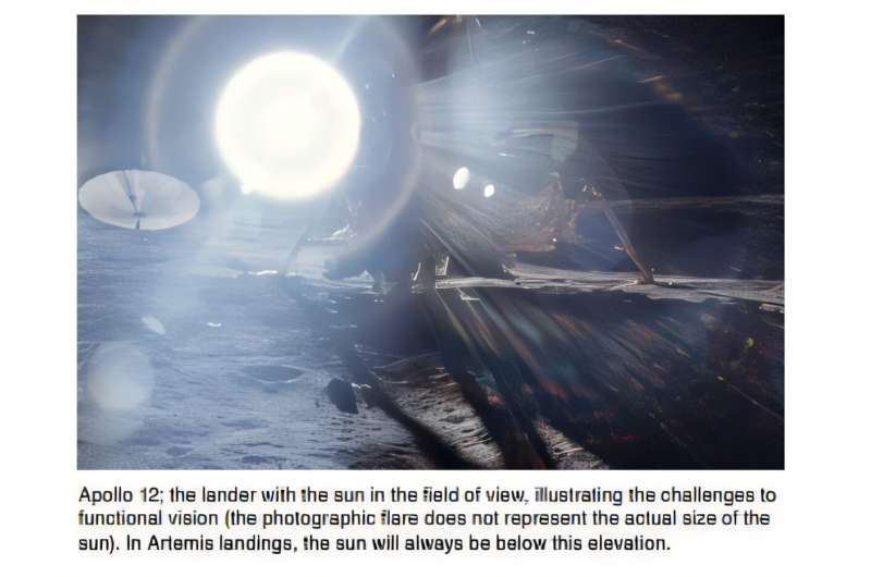 Characterizing the visual experience of astronauts at the lunar south pole