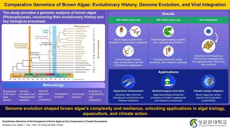 Sungkyunkwan University study reveals the hidden genomic evolution of brown algae