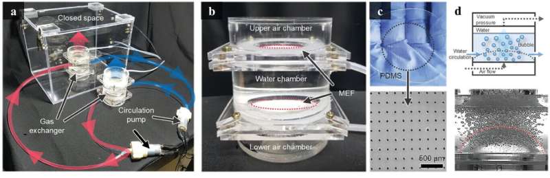 SNU researchers develop filter-free microbubble air purification system