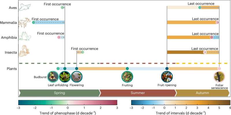 Scientists reveals phenological divergence between plants and animals under climate change