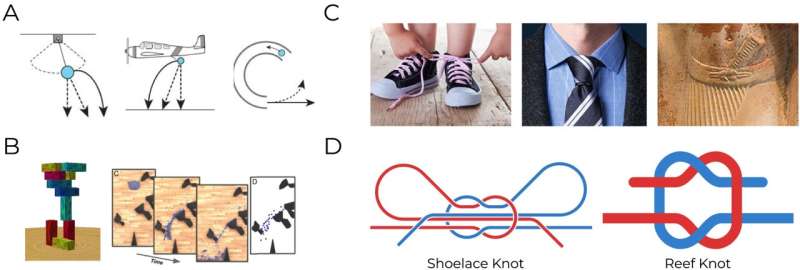 Judging knots throws people for a loop: Experiment reveals poor physical reasoning identifying strength of knots