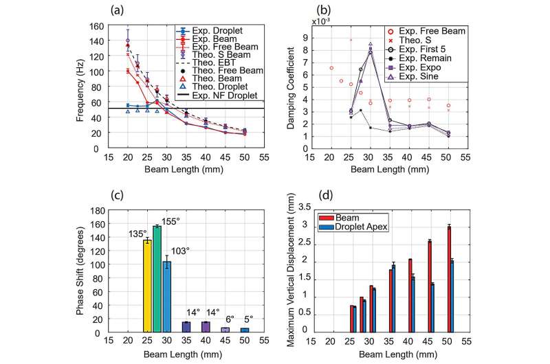 Understanding leaves' resiliency when it rains: Study reveals impact and physical dynamics of a raindrop on leaves