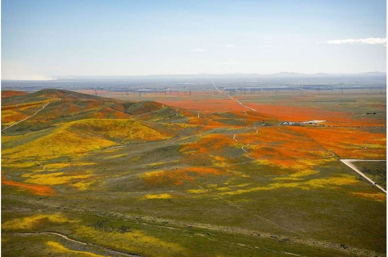 NASA study: Crops, forests responding to changing rainfall patterns