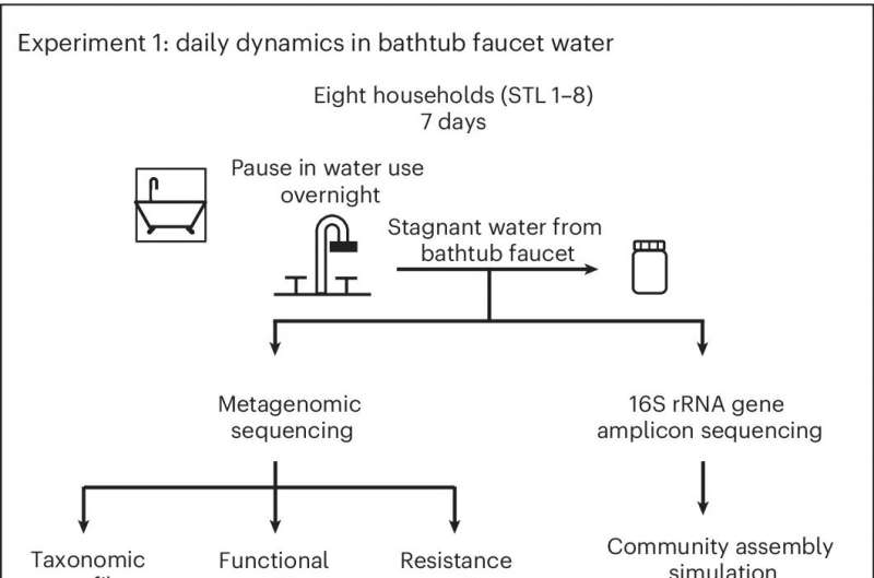 Scientists collect 'microbial fingerprints' found in household plumbing