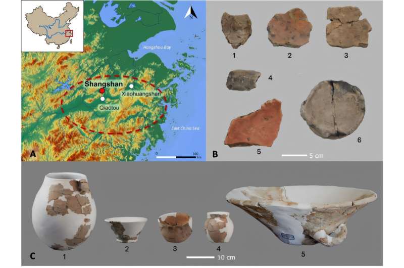 Traces of 10,000-year-old ancient rice beer discovered in Neolithic site in Eastern China