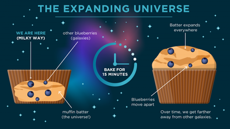 A diagram showing a muffin before and after it's baked, with the berries in the muffin farther apart after the baking process.