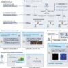 AI-based chatbot make recommendations for bioimage analysis