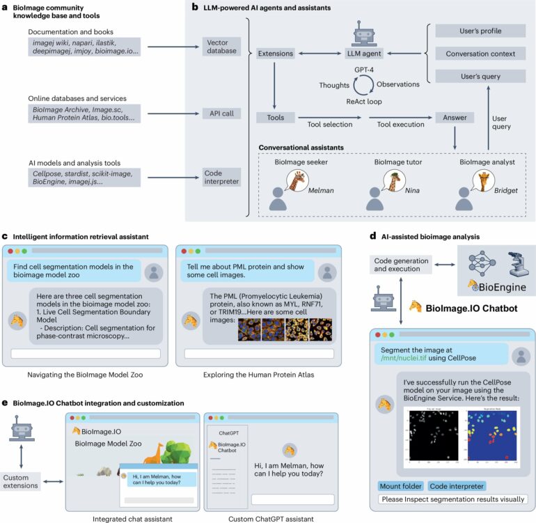 AI-based chatbot make recommendations for bioimage analysis