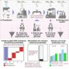 Ammonia production goes green: Biomethane approach offers net-zero ...