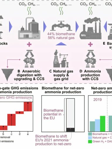 Ammonia production goes green: Biomethane approach offers net-zero ...