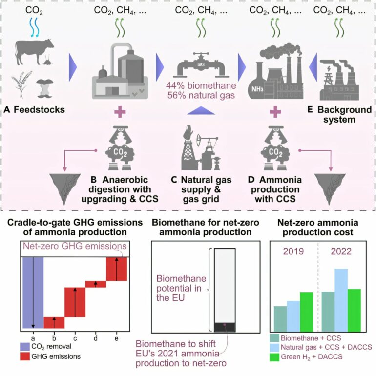 Ammonia production goes green: Biomethane approach offers net-zero ...