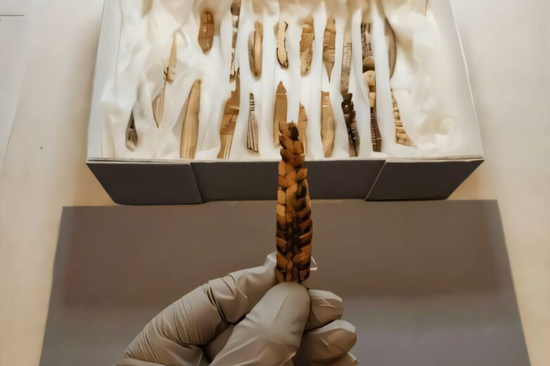 Ancient maize samples in Brazilian caves suggest the crop's ...