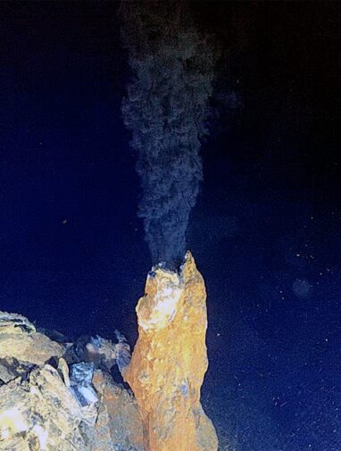 Arctic Ocean reveals unexpected variety in hydrothermal vent ...