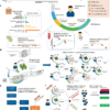 Machine learning can identify newly diagnosed patients with CLL at ...