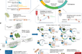 Machine learning can identify newly diagnosed patients with CLL at ...