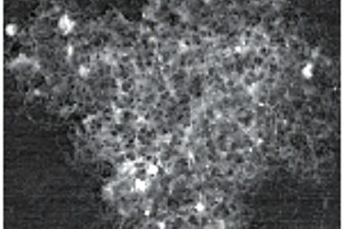 Burned rice hulls could help batteries store more charge