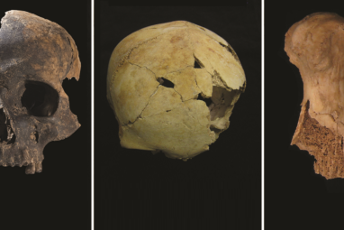 Analysis of butchered bones suggests violent 'othering' of enemies ...