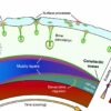 Cenotectic concept redefines search for life on icy worlds