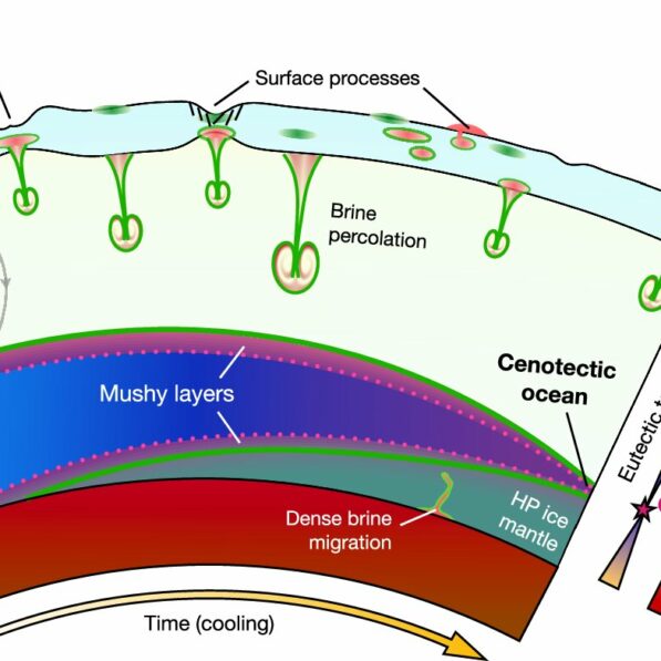 Cenotectic concept redefines search for life on icy worlds