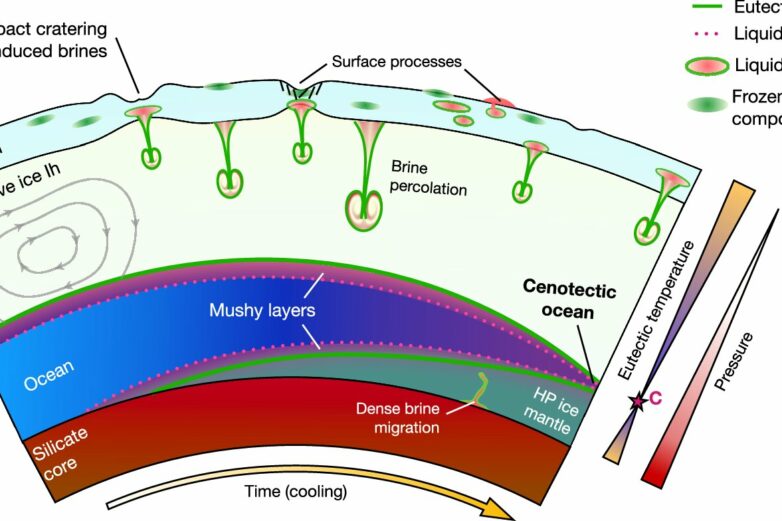 Cenotectic concept redefines search for life on icy worlds