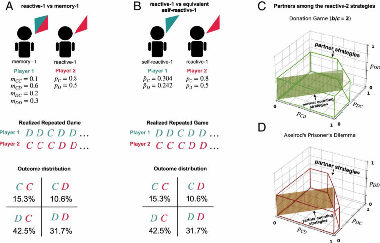 Cooperation in society: How our memory influences our behavior