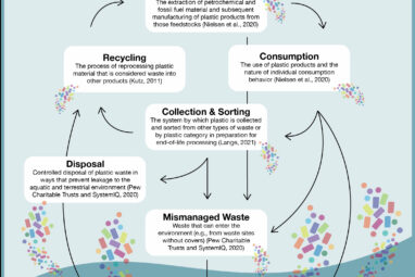 Frontiers | Inequitable distribution of plastic benefits and ...