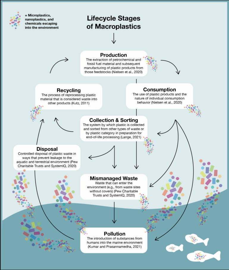 Frontiers | Inequitable distribution of plastic benefits and ...