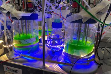 Cyanobacteria research unlocks potential for renewable plastics ...