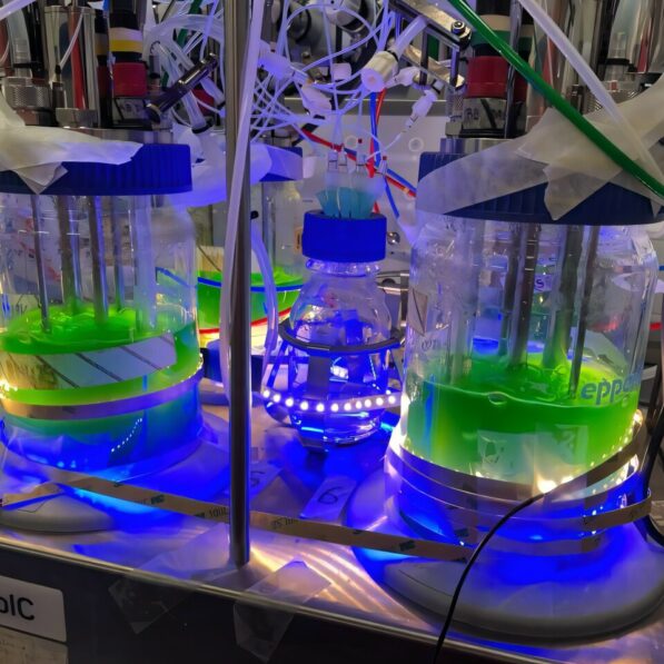 Cyanobacteria research unlocks potential for renewable plastics ...