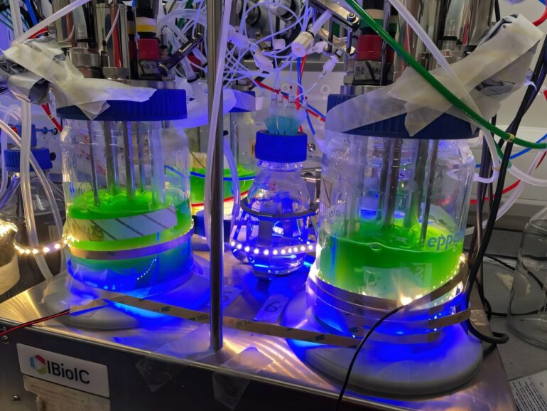 Cyanobacteria research unlocks potential for renewable plastics ...