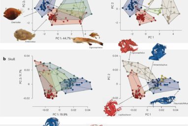 Deep-sea marvels: How anglerfish defy evolutionary expectations