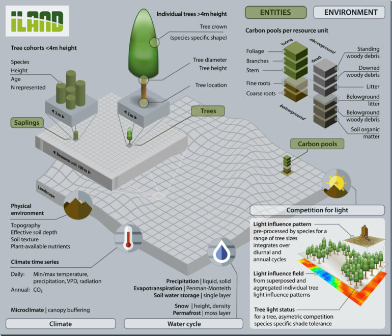 Digital twin model enables precise simulation of forest landscapes ...