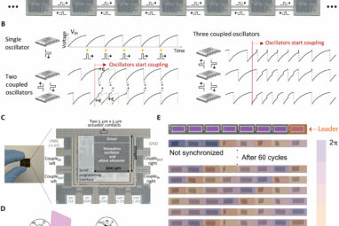 Engineering micromachines that can autonomously coordinate using ...