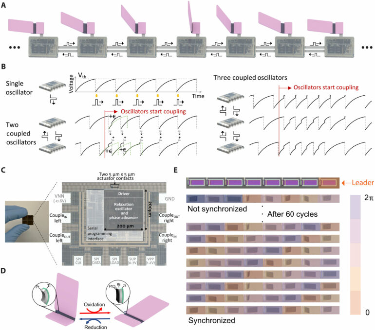 Engineering micromachines that can autonomously coordinate using ...