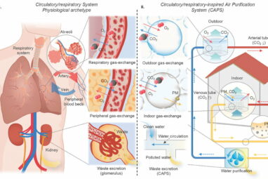 Engineers develop filter-free microbubble air purification system ...