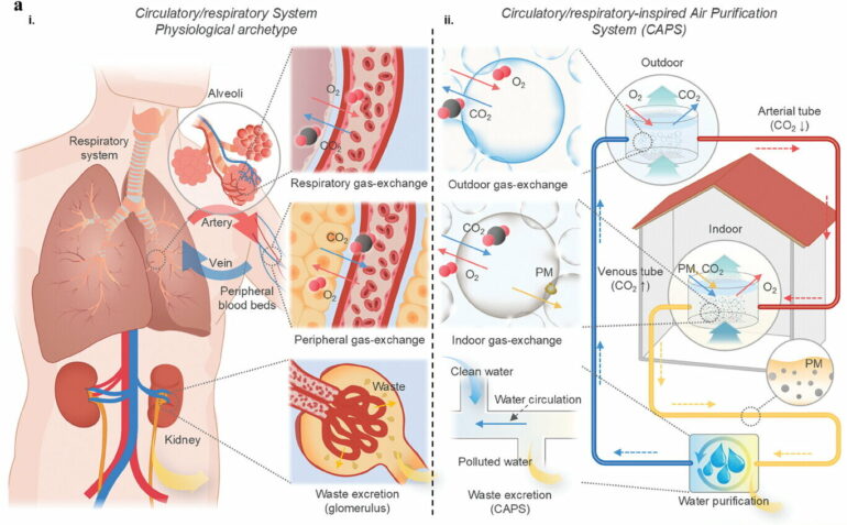 Engineers develop filter-free microbubble air purification system ...