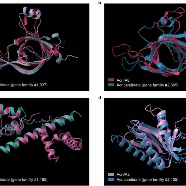 Foreign DNA 'sneaks' past bacterial defenses, aiding antibiotic ...