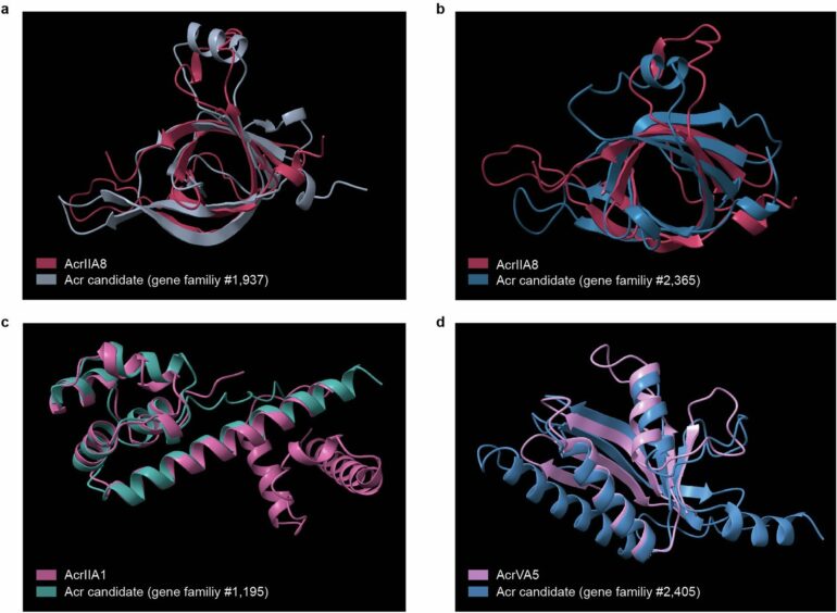 Foreign DNA 'sneaks' past bacterial defenses, aiding antibiotic ...