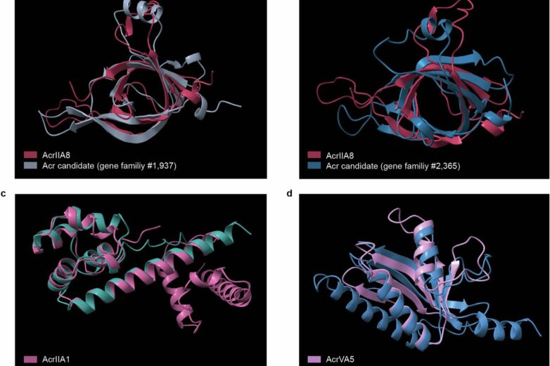 Foreign DNA 'sneaks' past bacterial defenses, aiding antibiotic ...